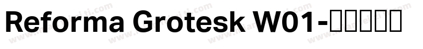 Reforma Grotesk W01字体转换